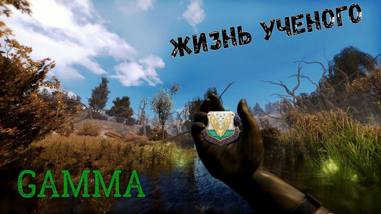 Жизнь Ученого. АукцЫон - Дорога |STALKER Anomaly GAMMA