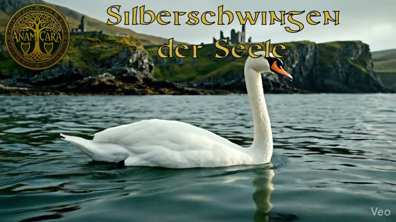 Anam Cara - Silberschwingen der Seele