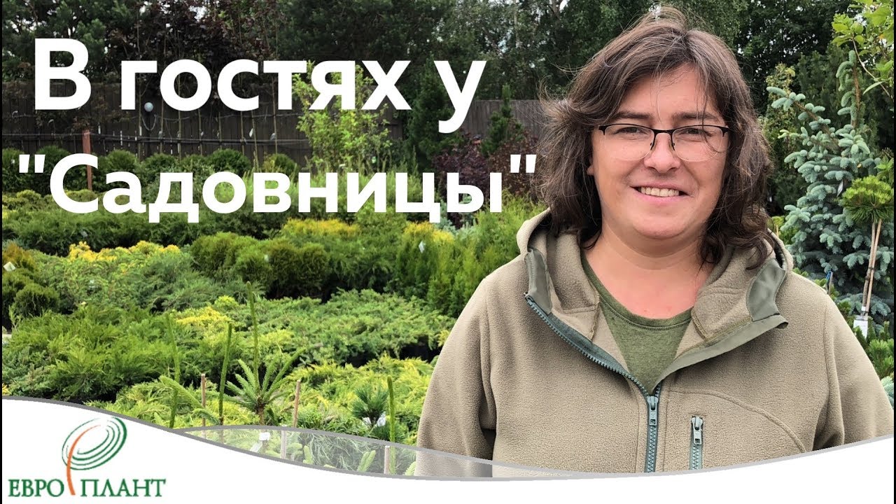В гостях у 
