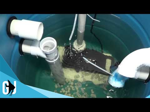 #262: Next Steps on the Central Sump System - Update Monday