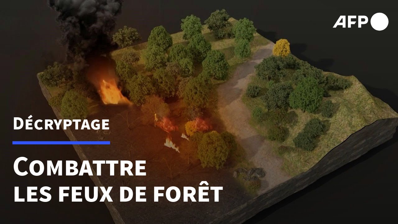 Comment combattre les feux de forêt | AFP
