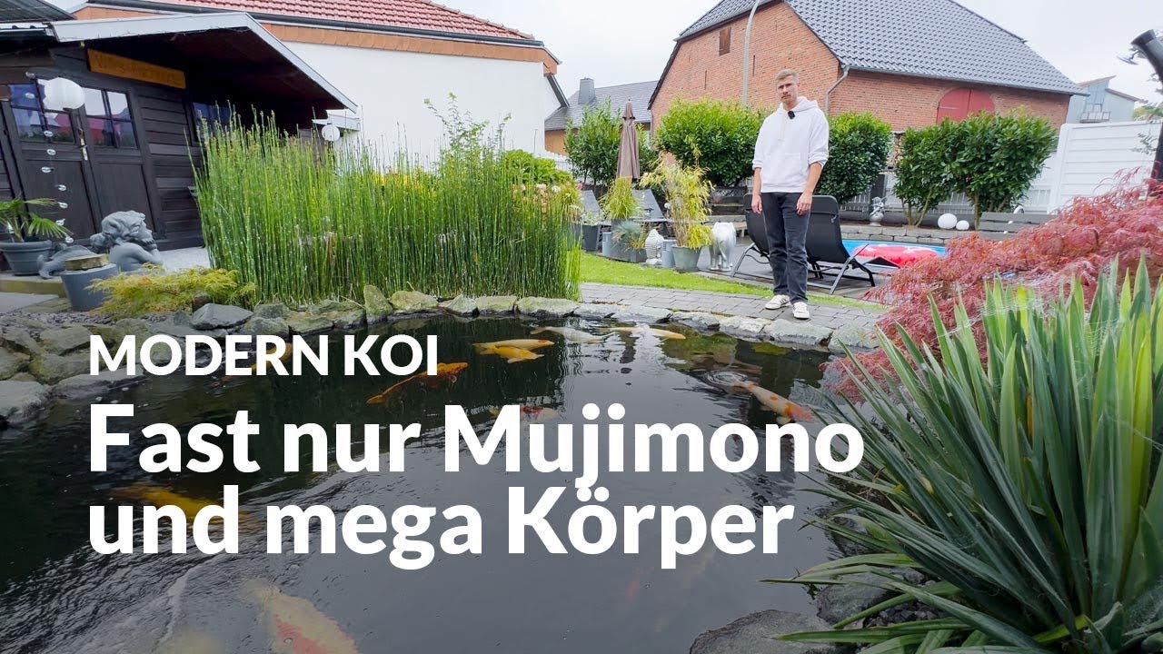 Wilhelms selbstgebauter 13.000 Liter Koiteich | Modern Koi Blog #7277