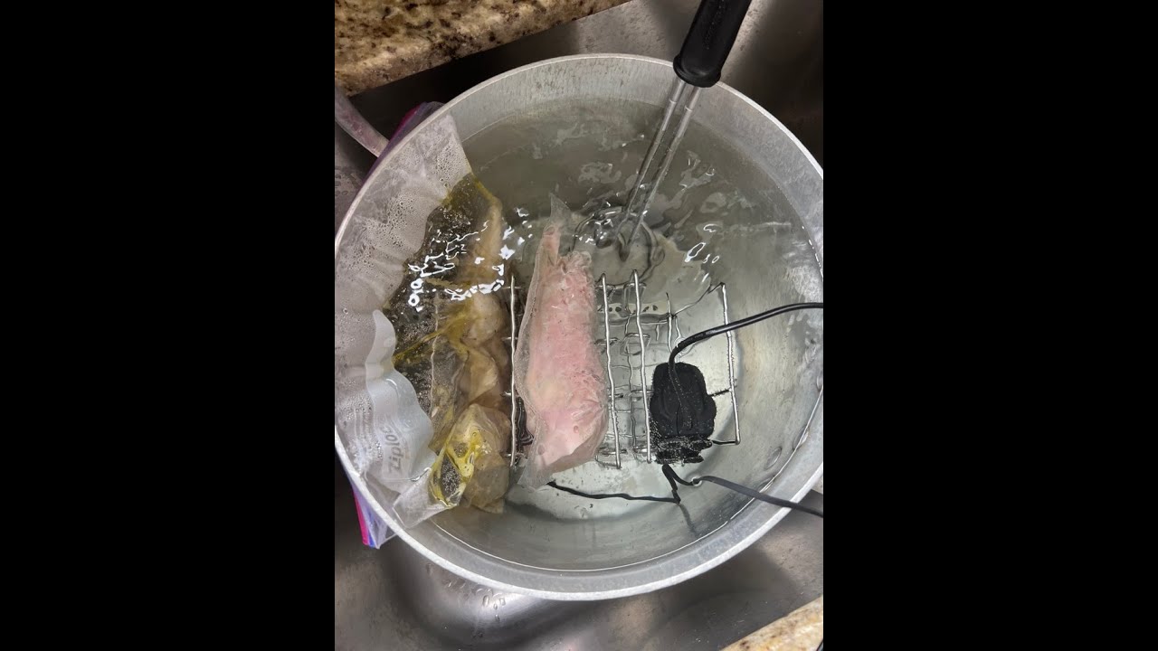 Construindo um aparelho de Sous-Vide