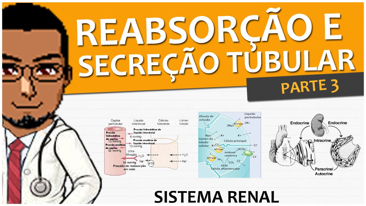 Sistema Renal/Urinário/Excretor 09 - Reabsorção e Secreção Tubular (P3) - ADH / Aldosterona