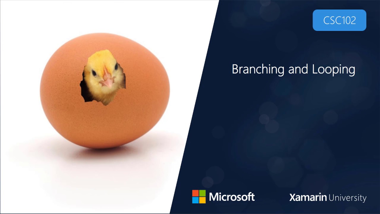 CSC102 - Branching and Looping