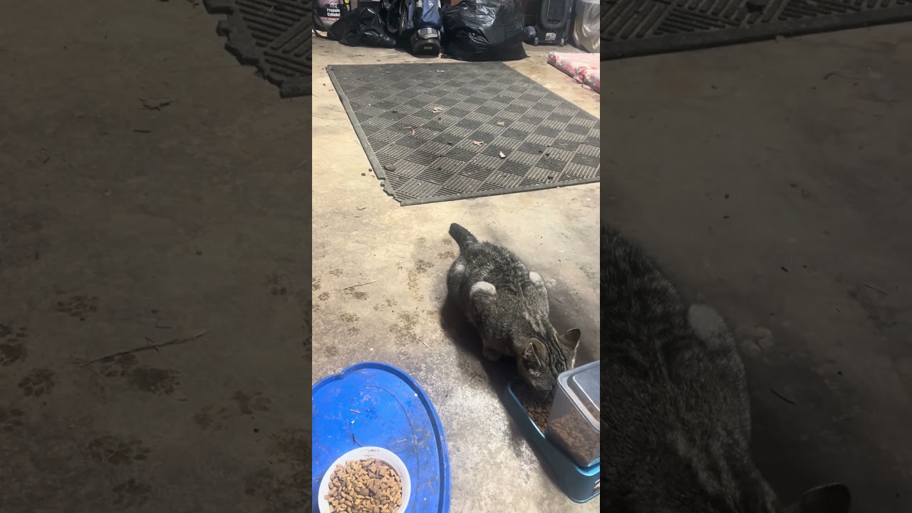 Little Spirit Chows Down