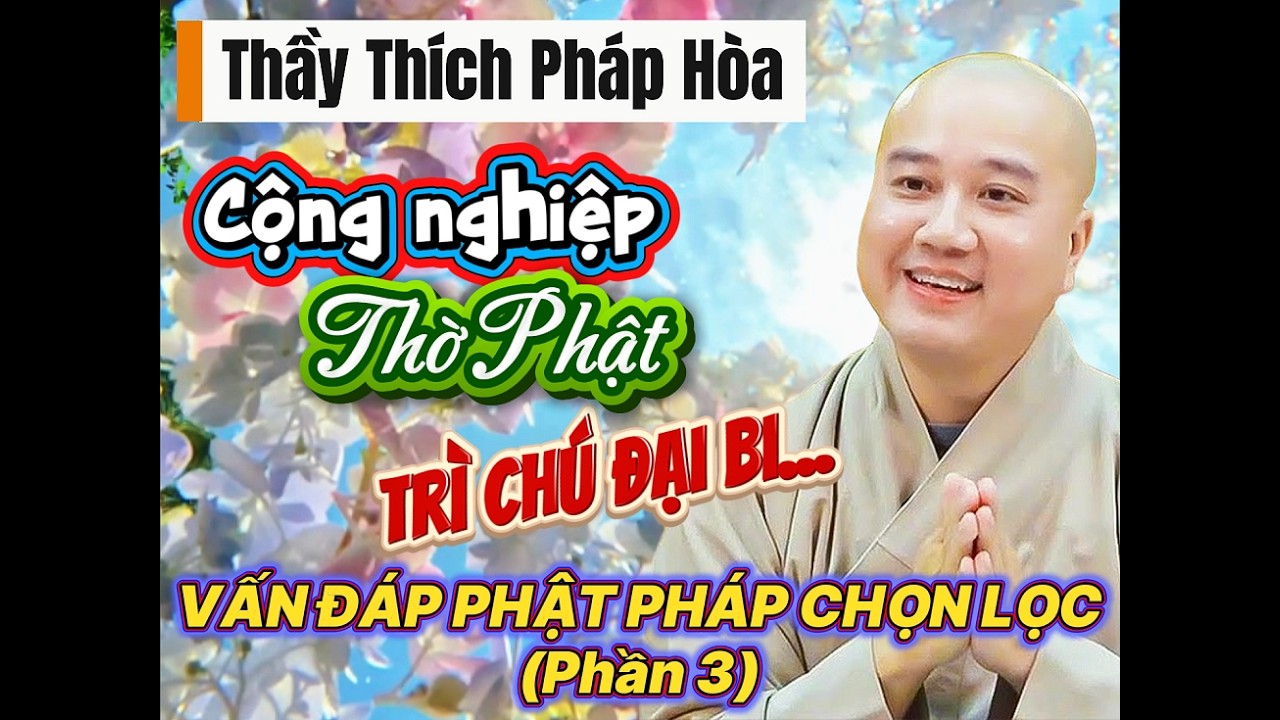 Thầy Thích Pháp Hòa - Vấn đáp Phật pháp chọn lọc về tâm linh và tu tập (P3)