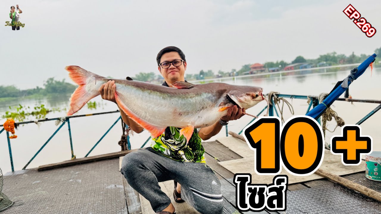 ตกปลาสวายน้ำแดง แม่น้ำเจ้าพระยา ไซส์ที่ตามหา… มาแล้ว!!