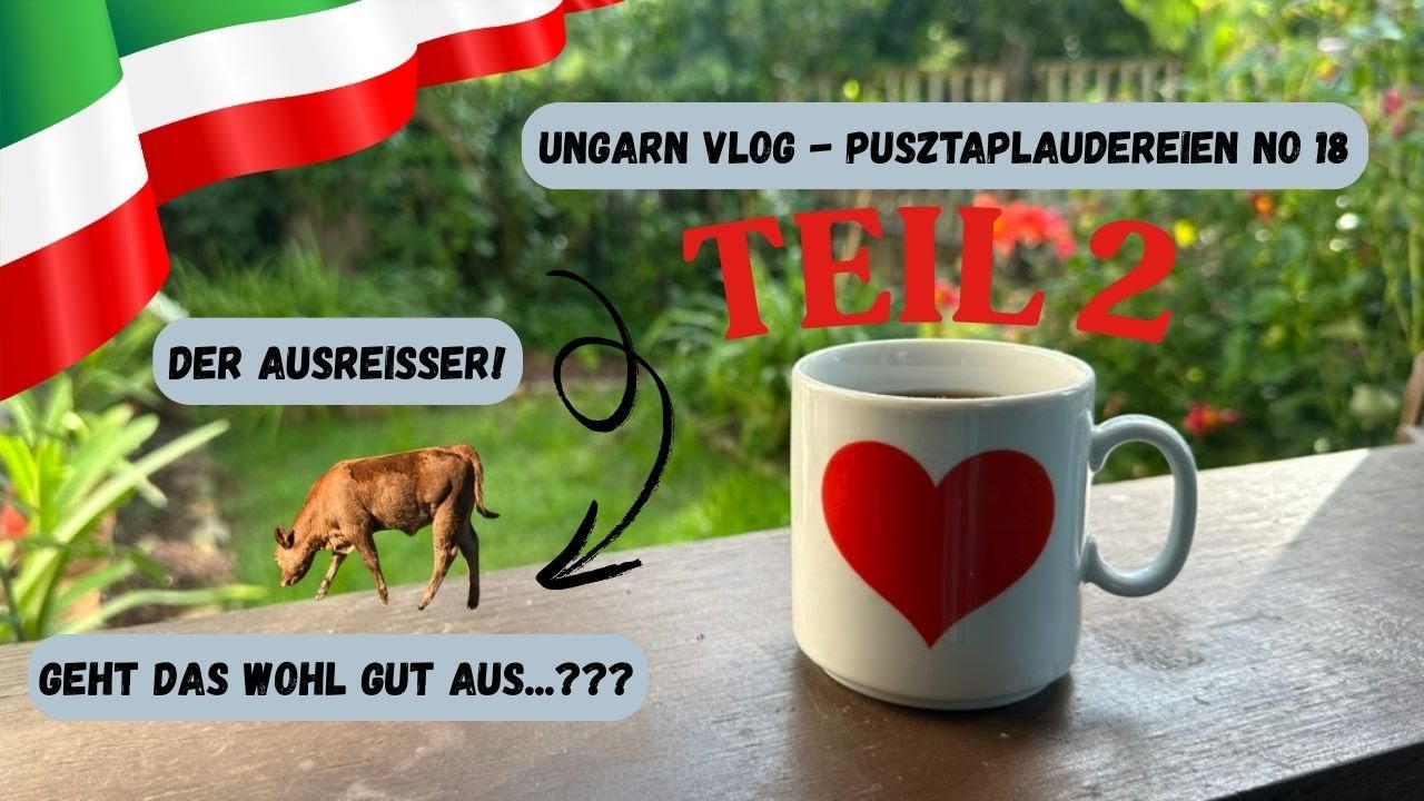 Ob das ein gutes Ende nimmt? Teil 2 der Plaudereien und die drei Enten sind auch dabei! Versprochen!