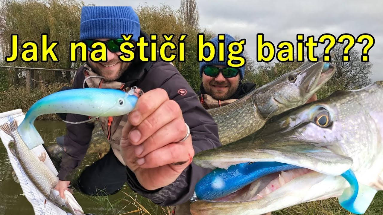 Jak lovit štiky na big bait - nástrahy, výbava, uzly + ukázka lovu