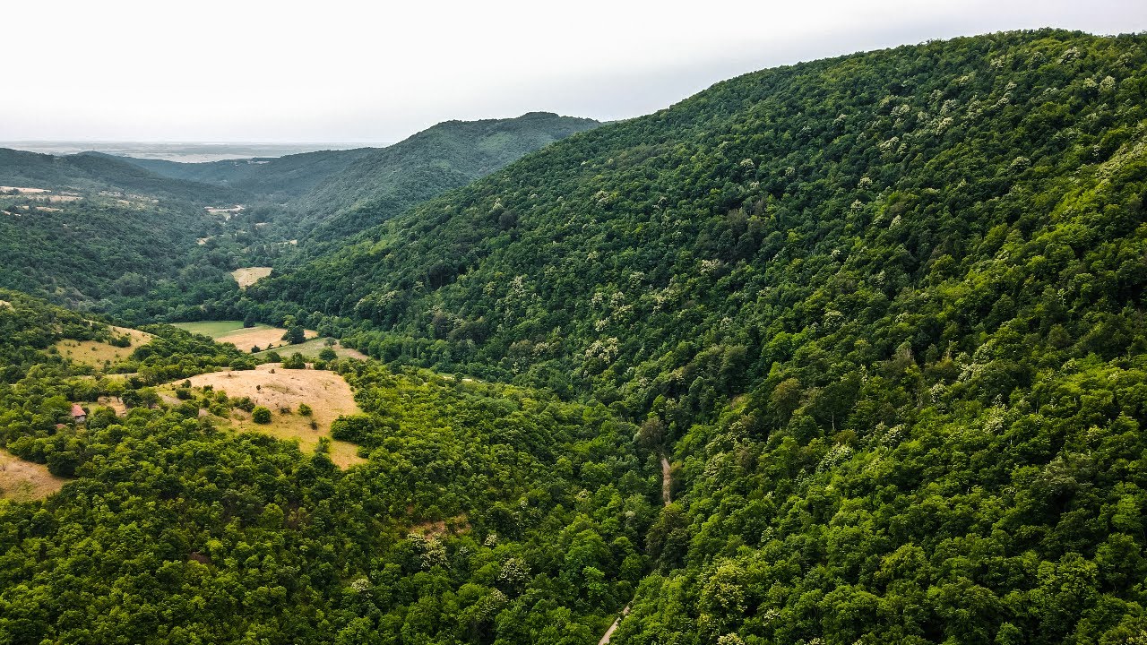 Planina Miroč - Nacionalni park Đerdap