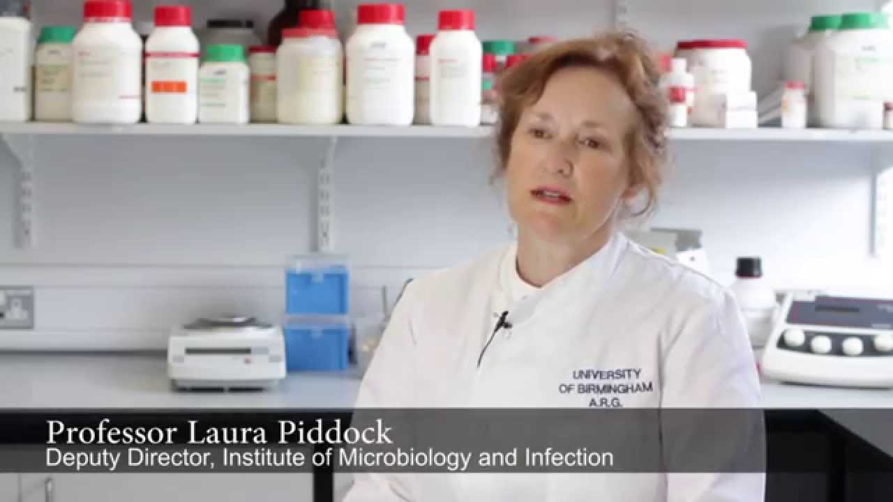 Fluoroquinolone resistance in bacteria