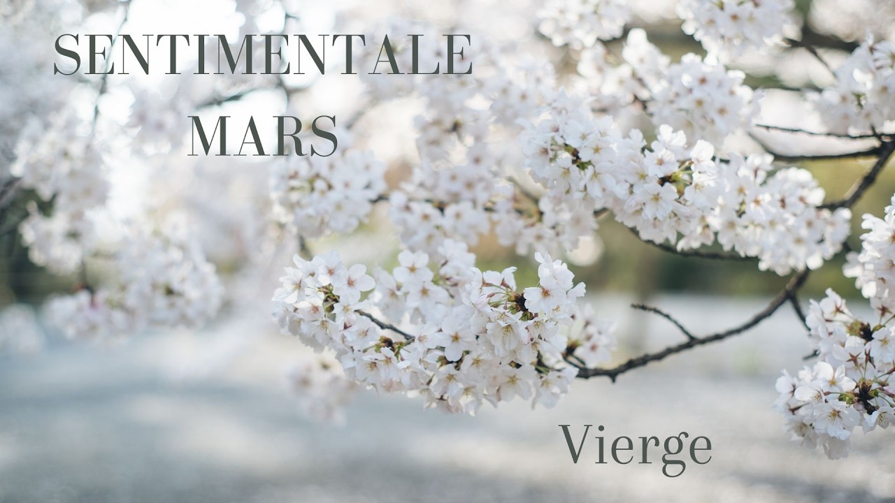 VIERGE ♍ SENTIMENTALE MARS 2026 🌸 JE NE POURSUIS PLUS CE QUI ME FUIT ❤️‍🔥❤️‍🩹💖 #vierge #love #amour 