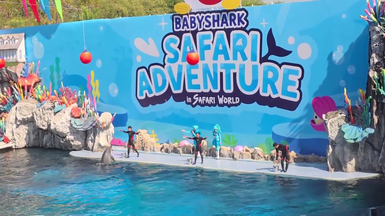  🐬Dolphin🐬 Show in Bangkok at Safari World 