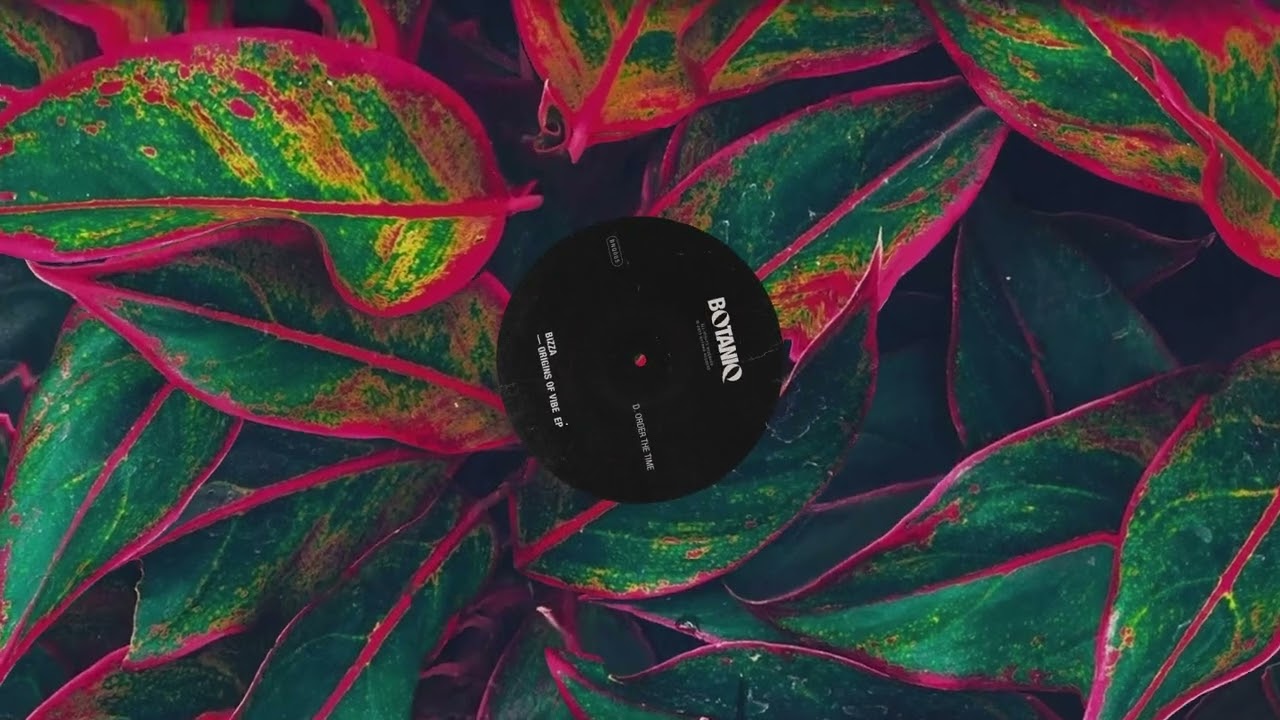 BizZa - Order The Time (Original Mix)
