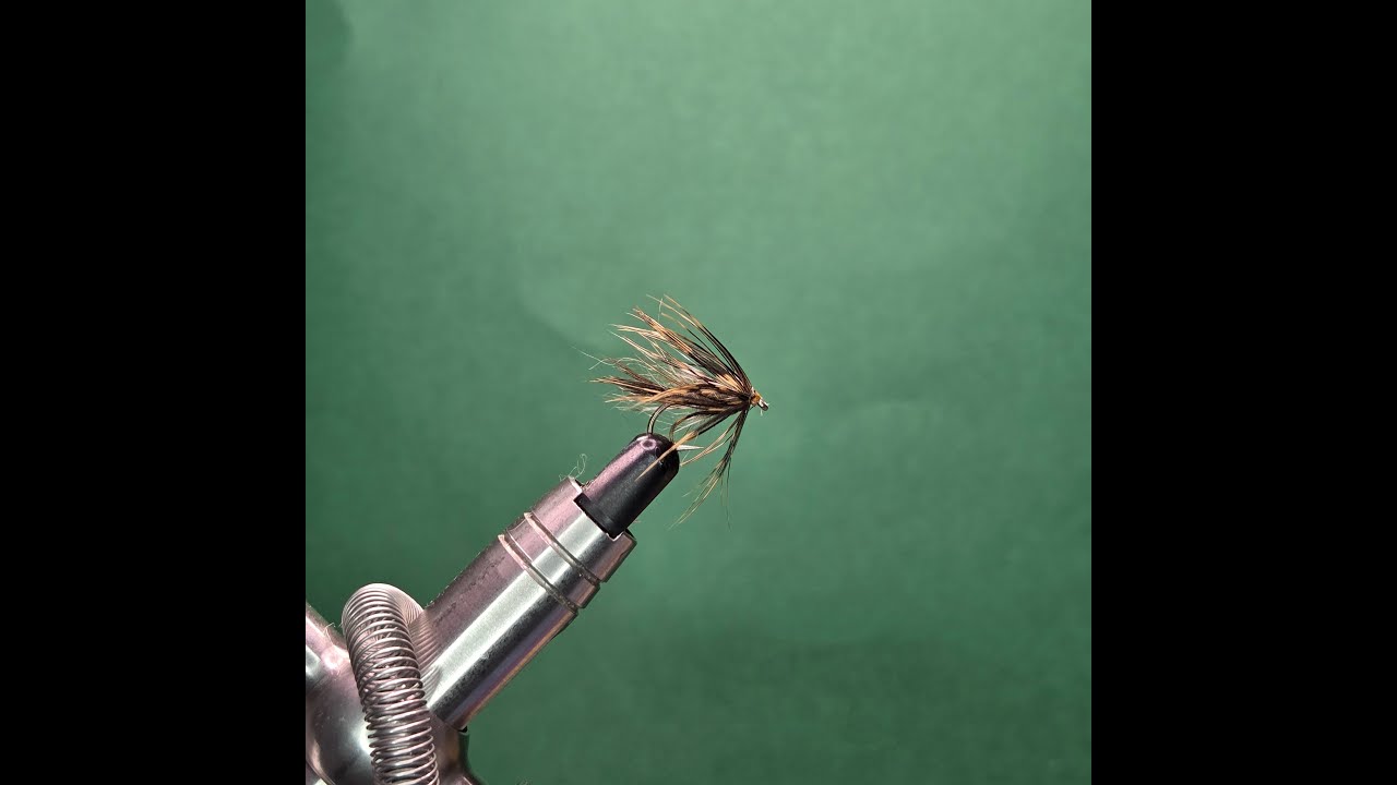 Adams Wet Fly - One Fly A Day