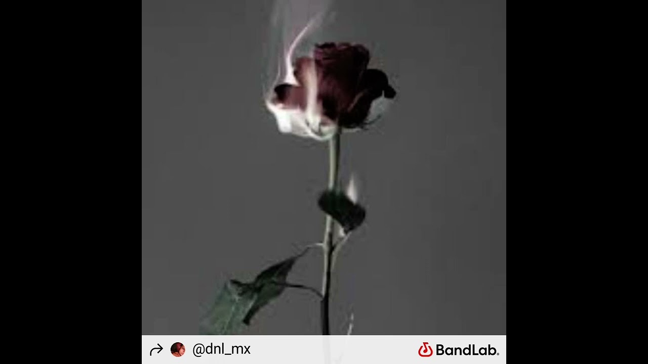 Flor quemada-Do12Ce & T. H. O
