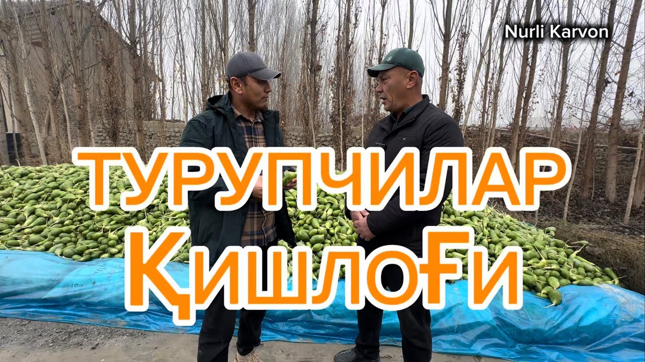 ТУРУПЧИЛАР ҚИШЛОҒИ ҚАЙРАҒОЧ