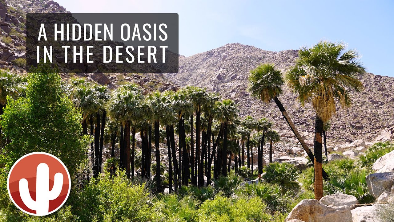 Borrego Palm Canyon Trail Hike (4K) | Anza-Borrego Desert State Park, California
