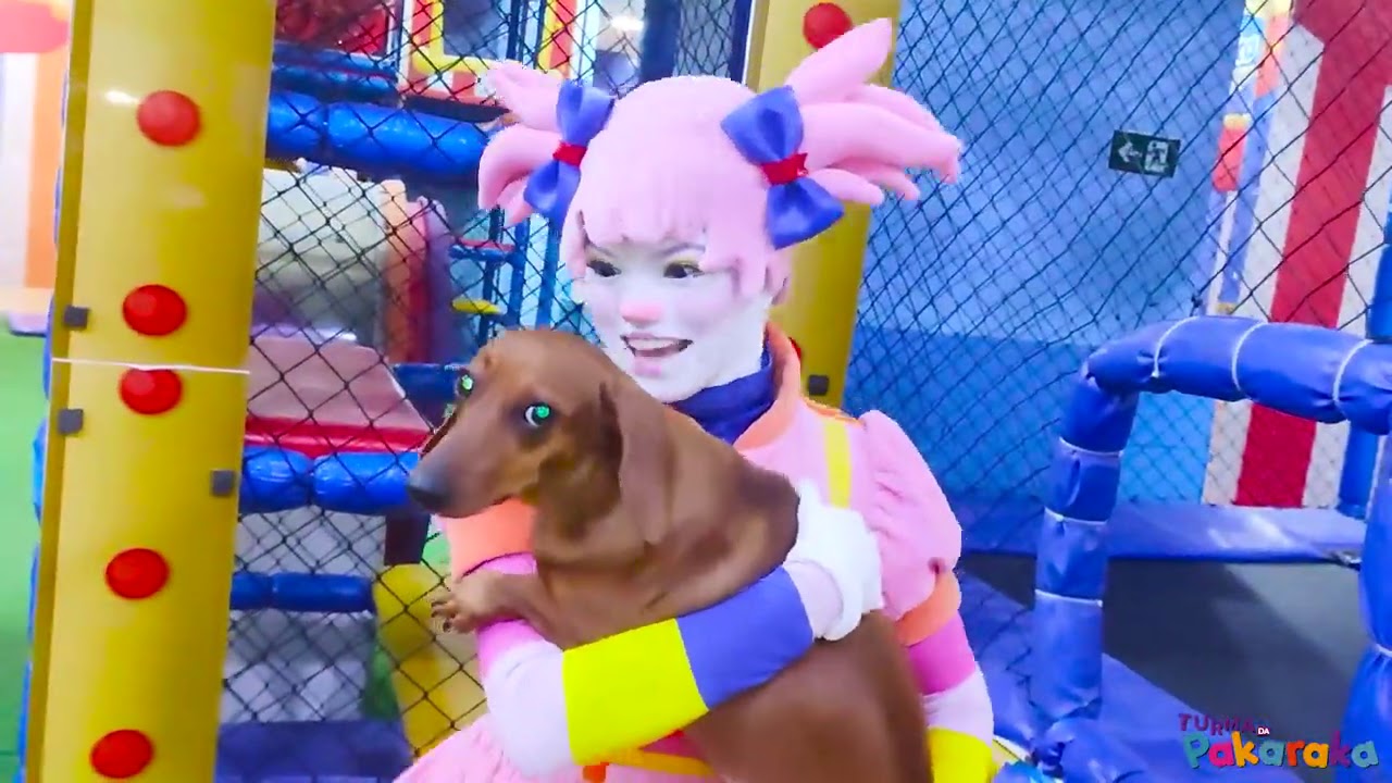 Turma da Pakaraka ensina como cuidar de Pet's
