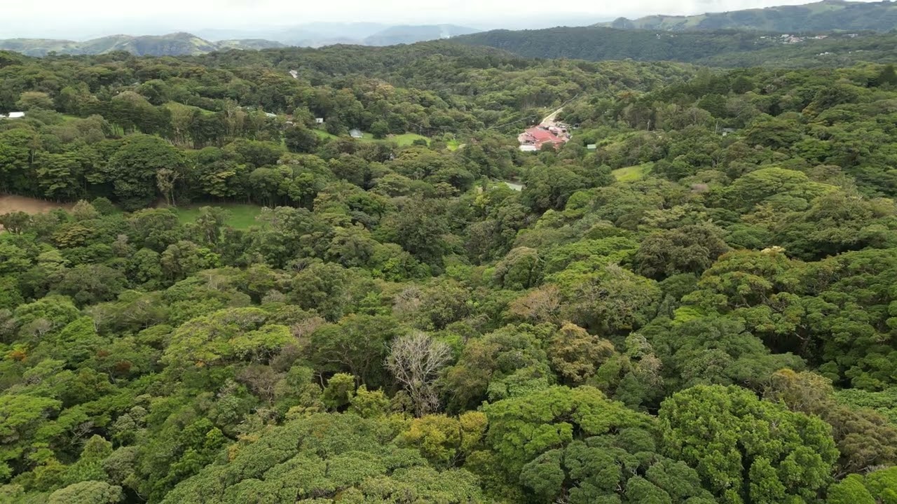 Reserva Curi-Cancha, Costa Rica 0020