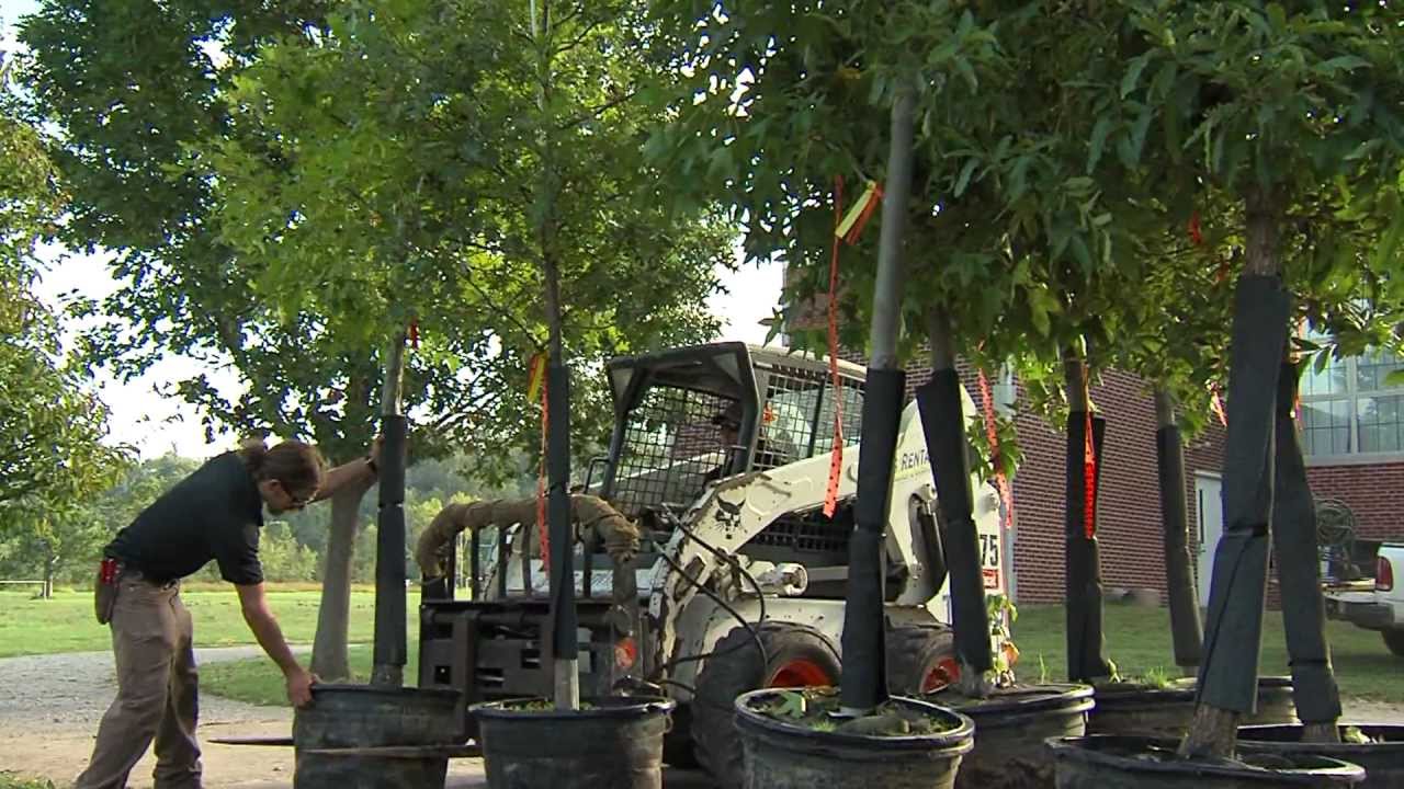 Planting Moscow - Cincinnati Zoo
