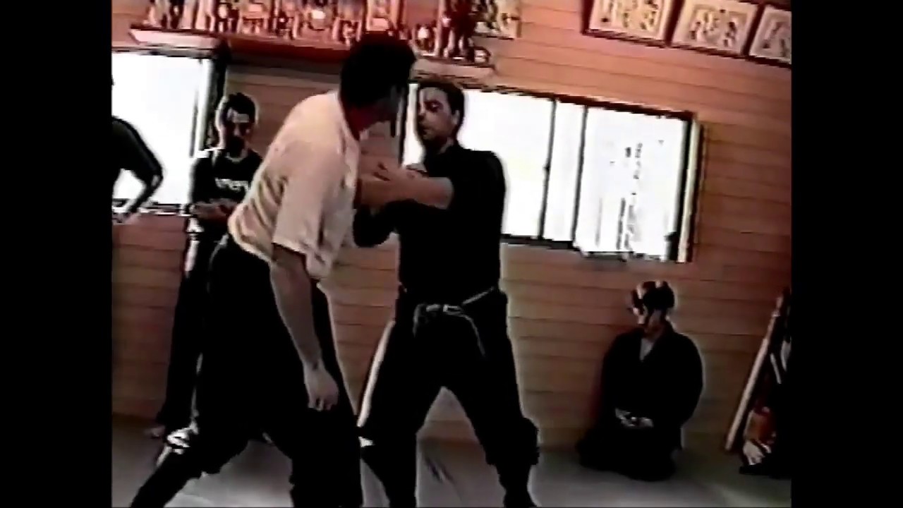 Kihon Happo with a feeling of Gikan Ryu (Bujinkan)