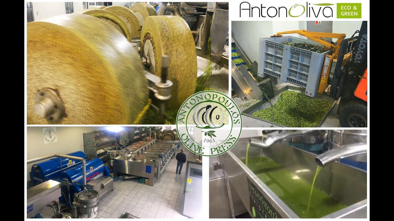 Cold Pressed Organic Olive Oil | Olive Press | Αντωνόπουλος Ελαιοτριβείο - Ελαιόλαδο Ψυχρής Έκθλιψης