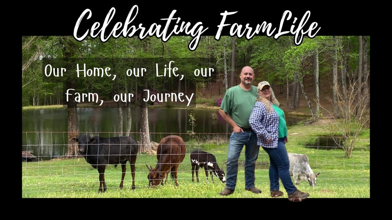 Overcoming Obstacles to Make Our Homesteading Dream a Reality! (Our Story)