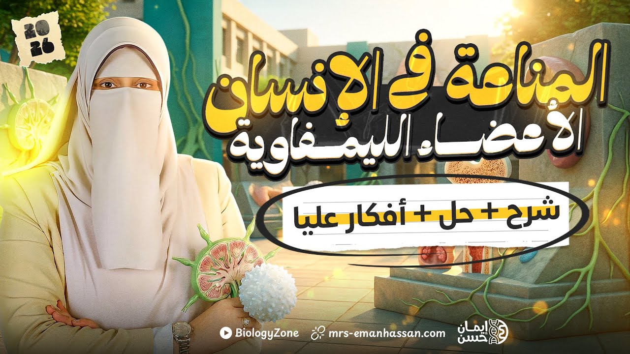 شرح المناعة فى الانسان [ الأعضاء الليمفاوية ] 💯 احياء تالته ثانوي 2026 ✅