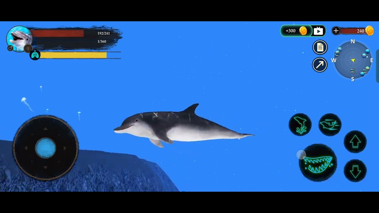 Dolphin 🐬 #dolphins #dolphinemulatorgamecube #englishbolnahogaaasan #subscribe