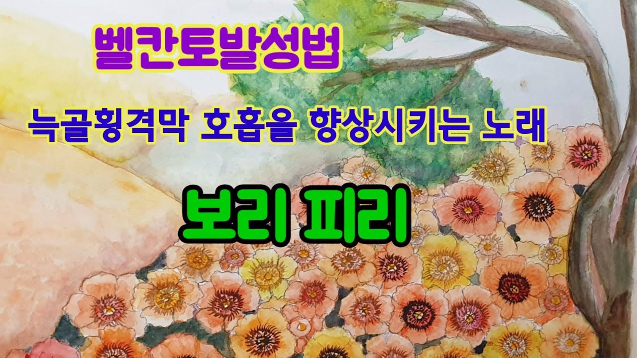 벨칸토발성법 늑골횡격막 호흡을 향상시켜주는 노래 보리 피리