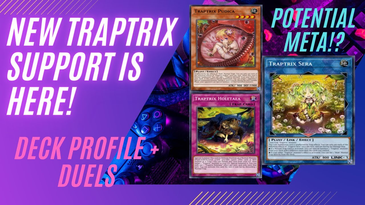 INSANE New Traptrix and Trap Hole Support is Here!│Deck Profile + Duels│Yu-Gi-Oh