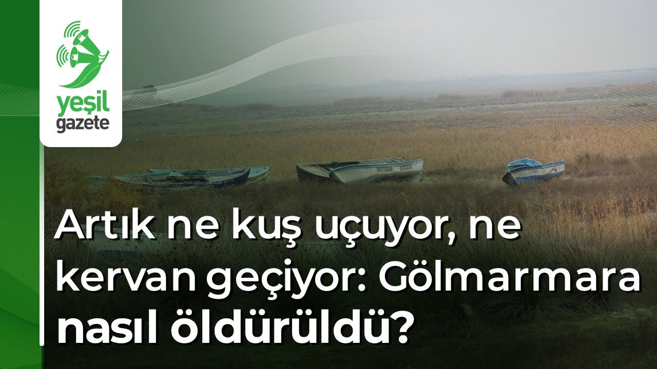 Artık ne kuş uçuyor, ne kervan geçiyor: Gölmarmara nasıl öldürüldü?