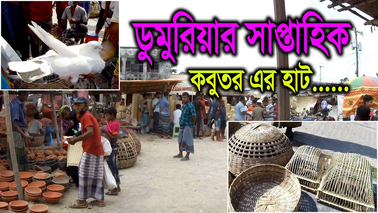 Dumuria Khulna ।। ডুমুরিয়ার কবুতরেন হাট ।। largest village market