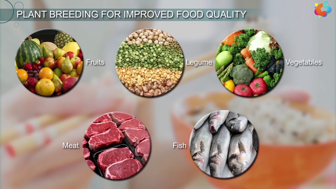 Plant Breeding for Improved Food Quality