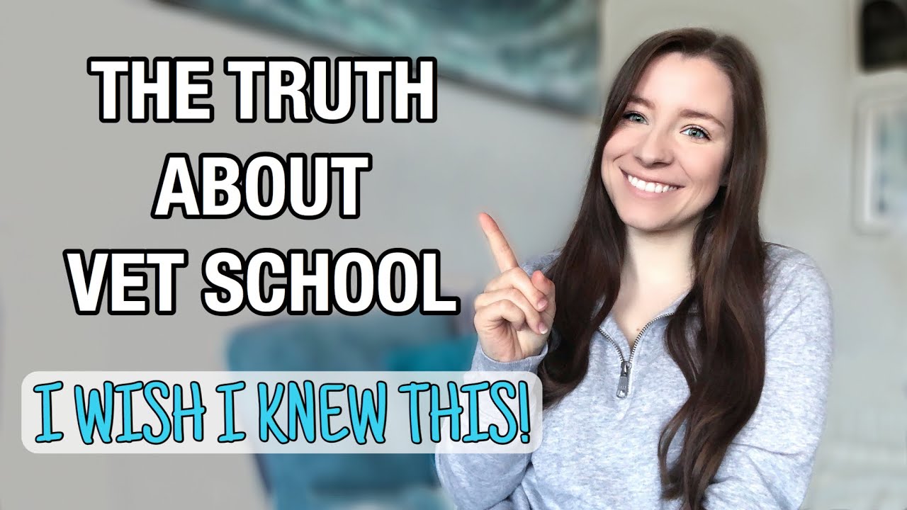 5 THINGS I LEARNED IN MY FIRST YEAR OF VET SCHOOL: What you need to know before you start!