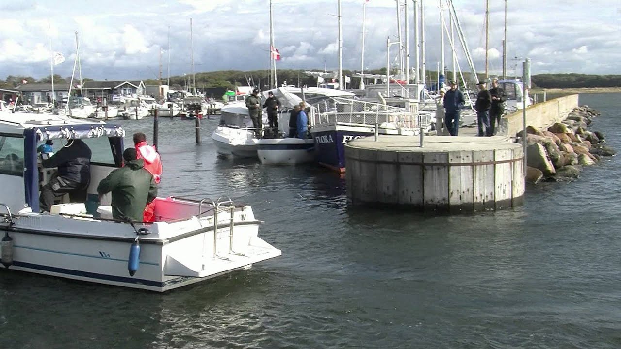 DM i Fladfisk 2012 - Onsevig Havn, lørdag eftermiddag
