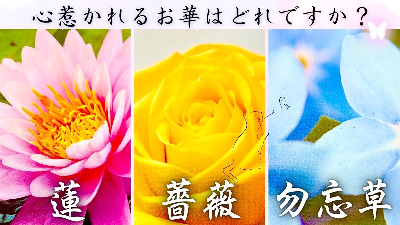 【タロット🦋‪】あの人の本音。隠された本当の気持ち