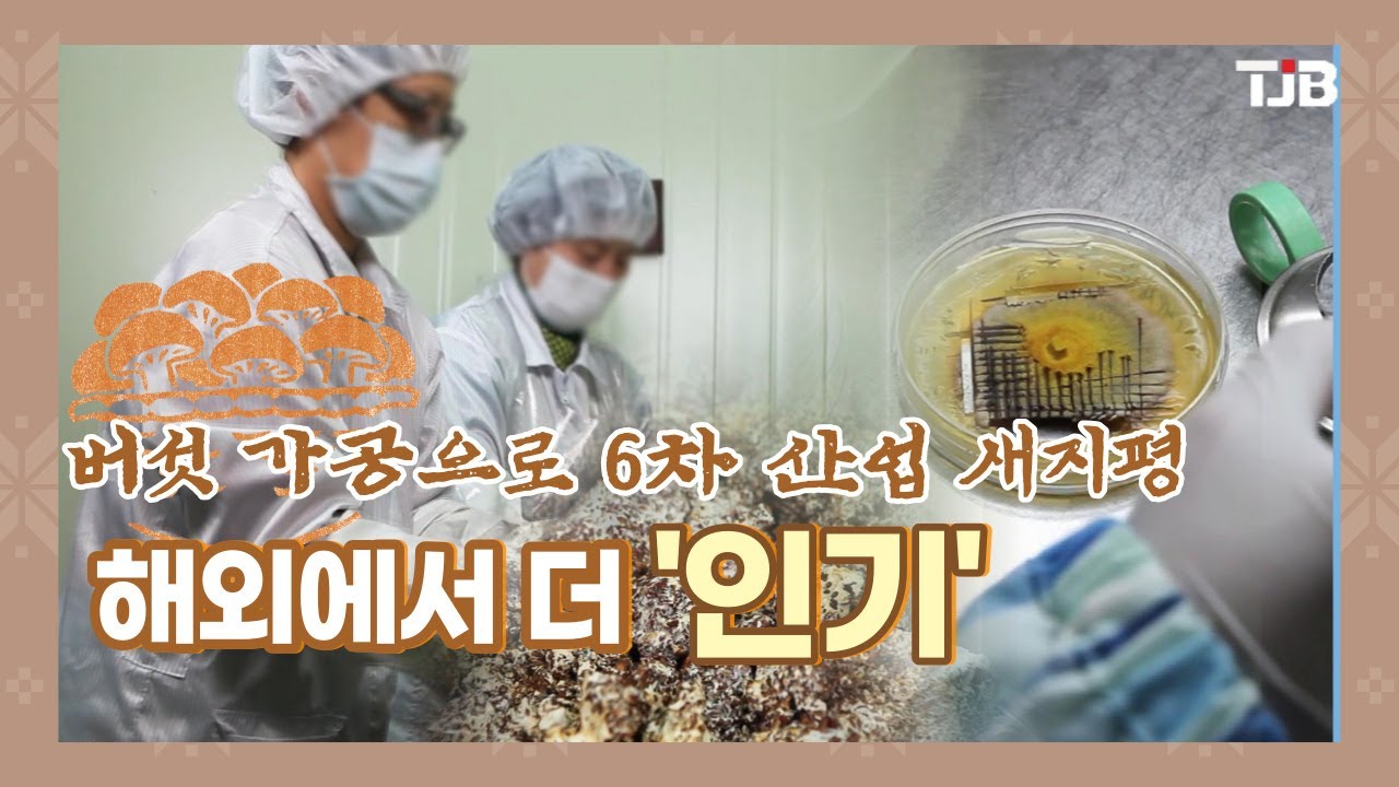 버섯 가공으로 6차 산업 새지평..해외에서 더 '인기'｜ TJB 대전&middot;충남&middot;세종뉴스