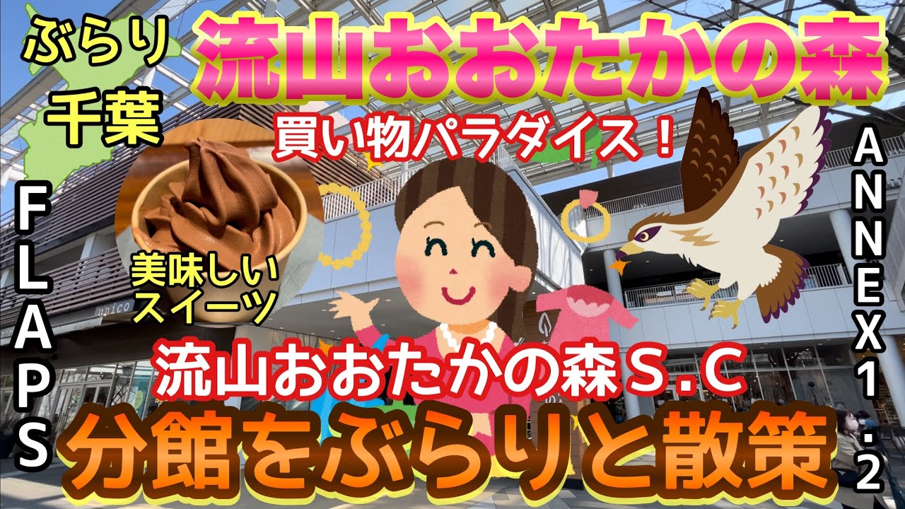 【ぶらり.千葉】本当に住みやすい街大賞2位の流山おおたかの森をぶらりと散策！その2  今回はショッピングセンターの分館を見て回るぞ！