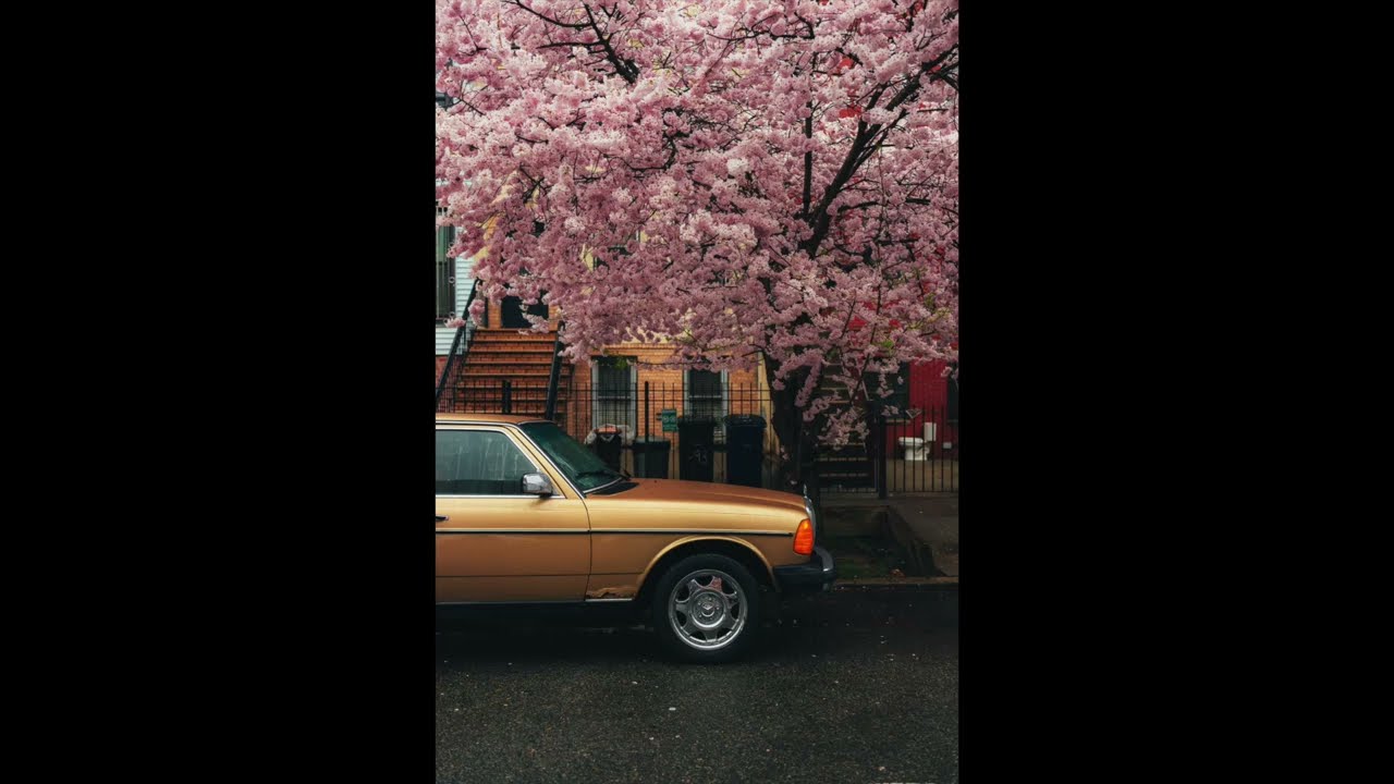 FREE lucki x young nudy type beat  - flowers