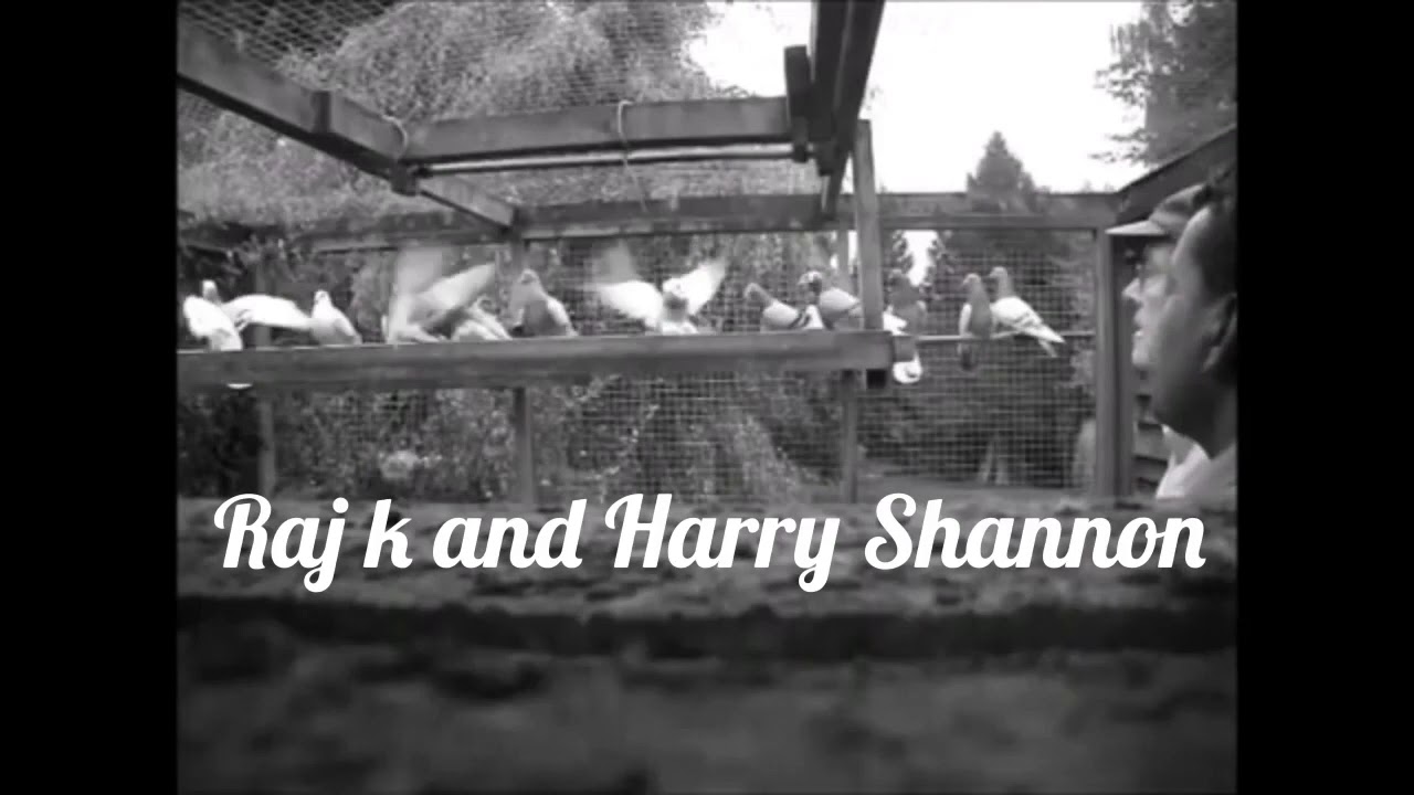 Raj k and Harry Shannon...