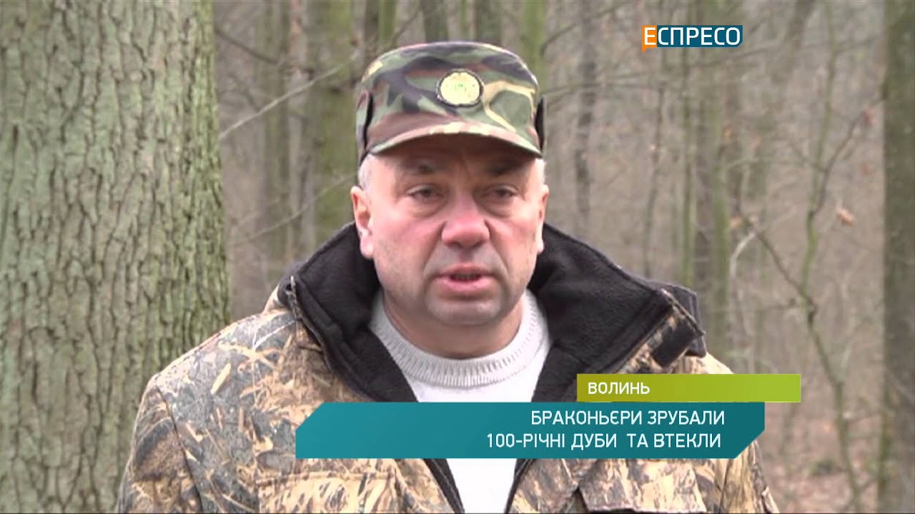 На Волині браконьєри хотіли стріляти у лісників