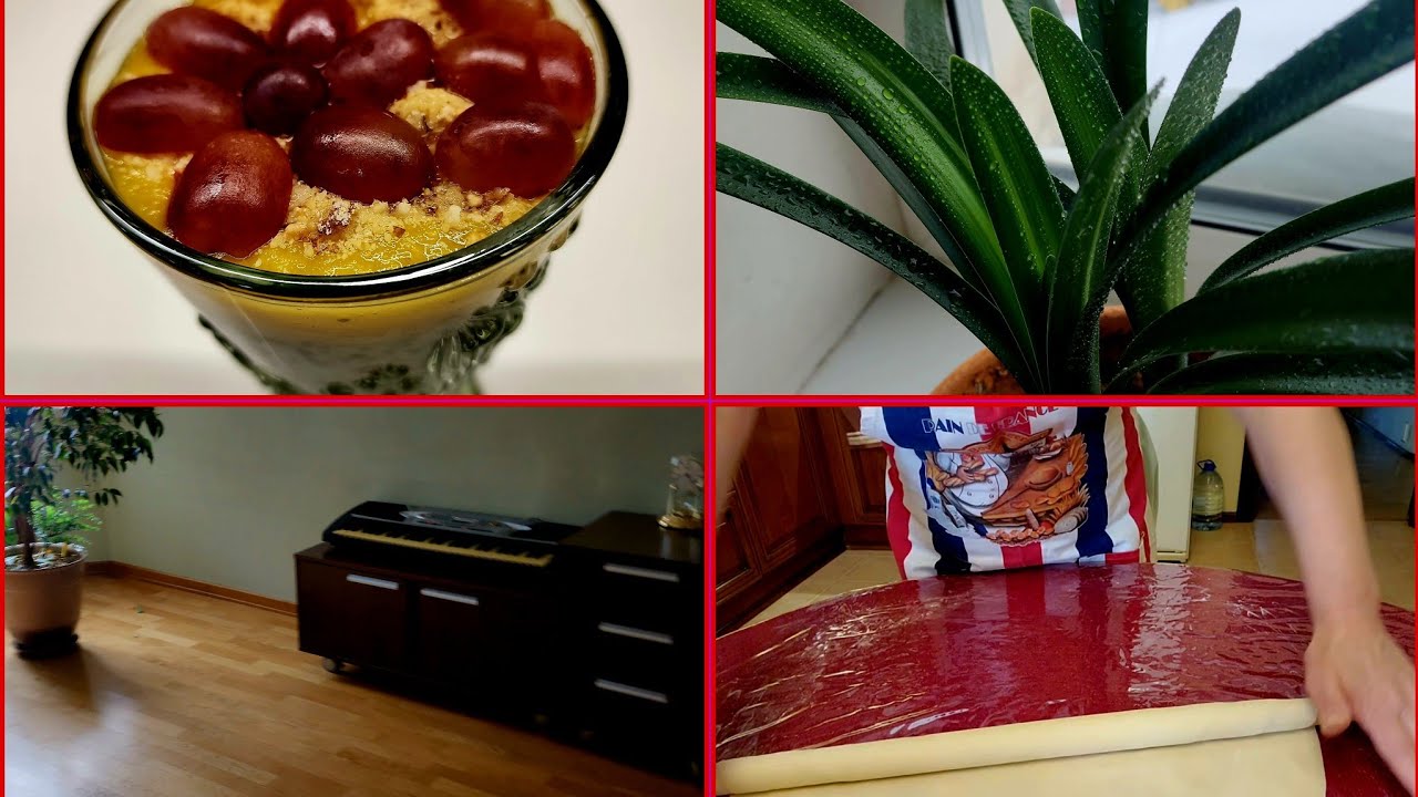 Diyetik bir desert😍Qış aylarında güllərə ən vacib nədir❓️🤔#günlükvlog#