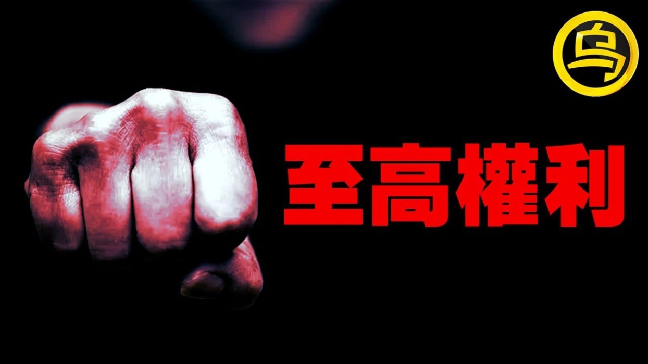敛财400亿身背9条命，却没人敢抓！3起被禁止讨论的案件，1小时中间无广告合集  [She's Xiaowu 小乌]