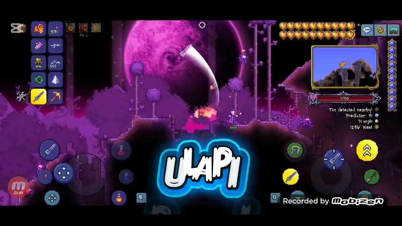 Terraria #zenith vs all bosses terraria#manry