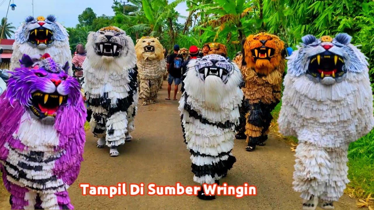 MERIAH ‼ Can macanan singo raungcilik di undang acara ULANG TAHUN singo agung tampi di sumberwringin