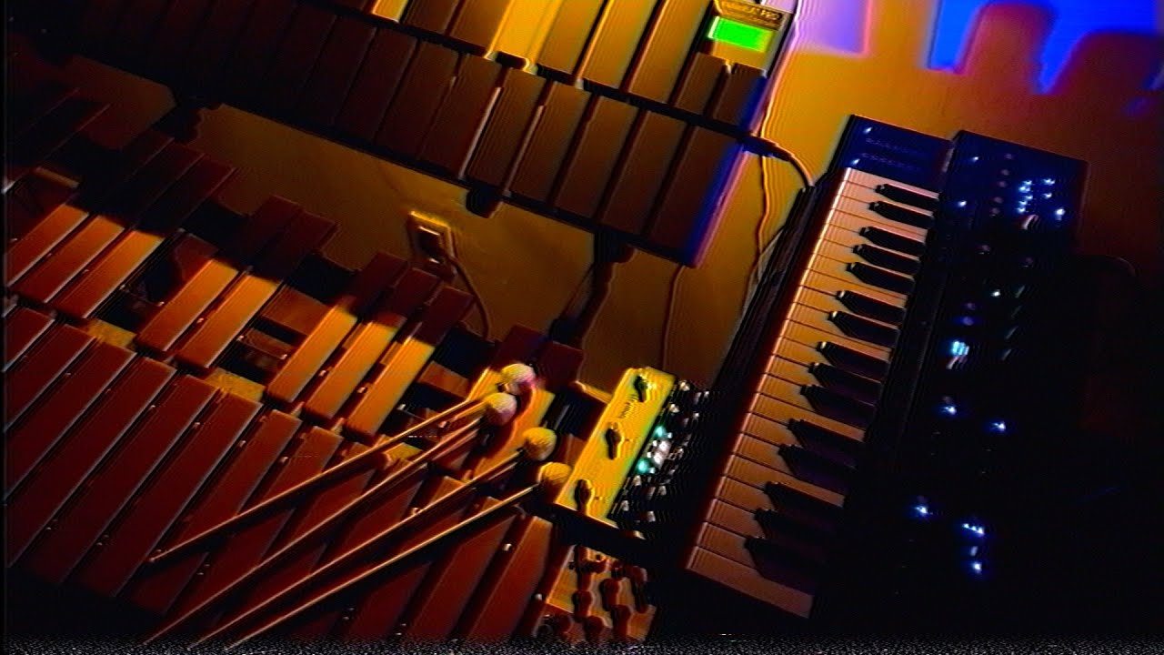 Magnetic Echo Nostalgia | Vibraphone + Mini Freak + Peterlin