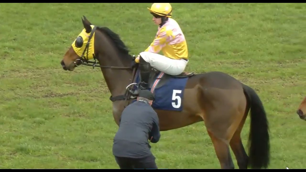 SEDGEFEILD UK 25 JAN 2026  |1340 Horse Race